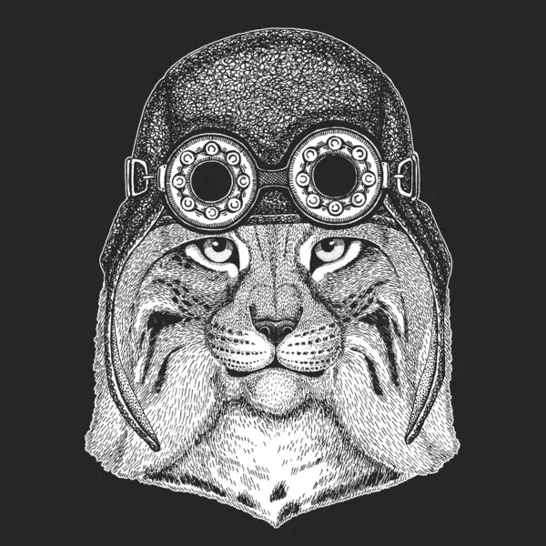 Lynx, bobcat, trav porträtt. Aviator läderhjälm. Huvud av vildkatt. Djuransikte. — Stock vektor