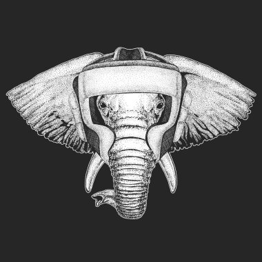 Fil kafalı. Oksitleme miğferi. Boksör. Vahşi hayvan portresi.