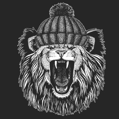 Aslan. Vahşi hayvan portresi. Kış örgüsü şapka. Afrikalı kedinin yüzü.