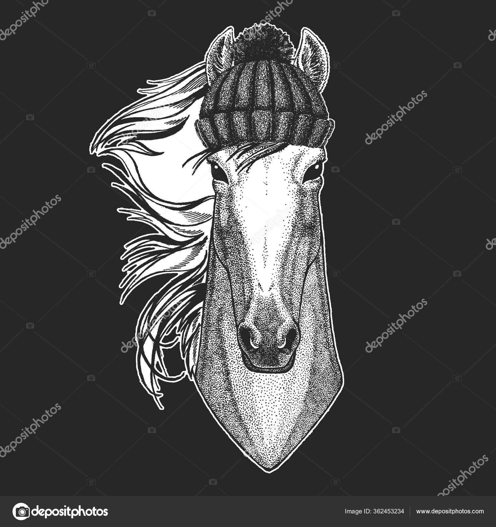 Cavalo, Mane, Máscara De Cabeça De Cavalo png transparente grátis