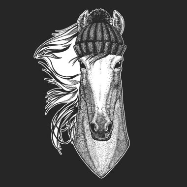 At, at, at. Kış örgüsü şapka. Vahşi hayvan portresi.