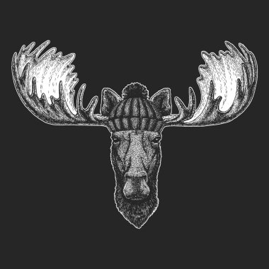 Geyik kafası. Kış örgüsü şapka. Komik bir hayvanın portresi.