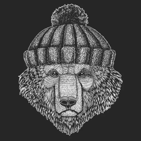 Дикий медведь. Зимняя вязаная шляпа. Портрет животного для эмблемы, логотипа, футболки . — стоковый вектор