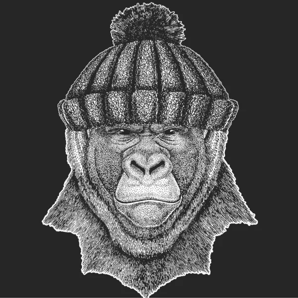 Babouin, singe, singe. Chapeau tricoté hiver. Tête, portrait d'animal . — Image vectorielle