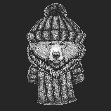 Boz ayı. Vahşi hayvan portresi.