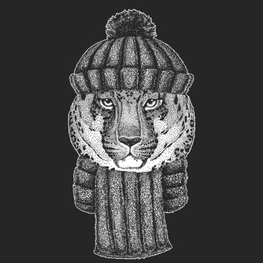 Leopar, jaguar surat. Vahşi hayvan portresi.