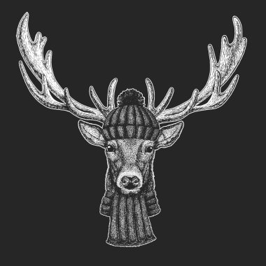 Geyik portresi. Vahşi hayvanların başı..