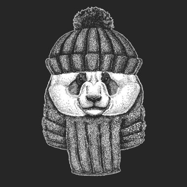 Büyük panda, bambu ayı portresi. Şirin bir hayvanın yüzü. Ayı kafası..