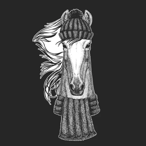 Pferd, Ross, Kutscher. Porträt eines wilden Tieres. — Stockvektor