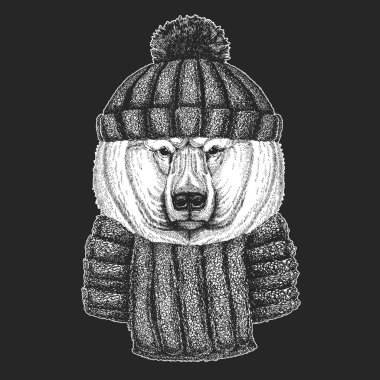 Kutup ayısı portresi. Vahşi hayvanların başı.