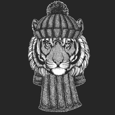 Kaplan portresi. Vahşi kedi kafası..