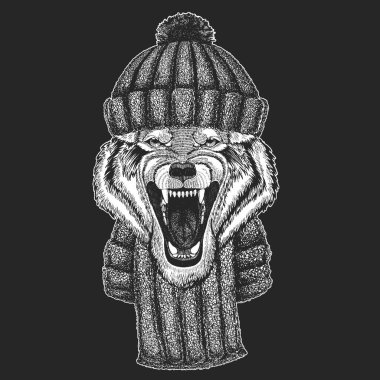 Kurt portresi. Vahşi hayvanların başı..