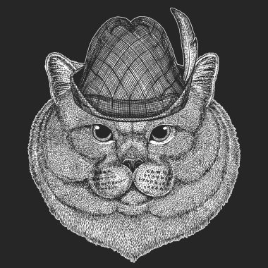 İngiliz kısa mesafe kedisi. Oktoberfest. Tirol geleneksel şapkası. Bira festivali. İskoç katlama. Şirin kedi yavrusu. Havalı hayvan..