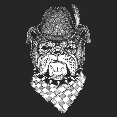 Bulldog, köpek. Oktoberfest. Tirol geleneksel şapkası. Bira festivali. Sevimli hayvan portresi.