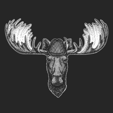 Geyik kafası. Oktoberfest. Tirol geleneksel şapkası. Bira festivali. Komik bir hayvanın portresi.