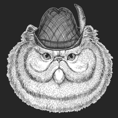 İranlı uzun saçlı kedi. Oktoberfest. Tirol geleneksel şapkası. Bira festivali. Evcil hayvan portresi. Hayvan kafası. Kedi surat..
