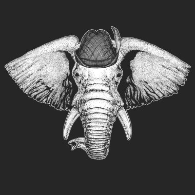 Fil kafalı. Oktoberfest. Tirol geleneksel şapkası. Bira festivali. Vahşi hayvan portresi.