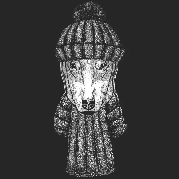 Бультер, собака. Портрет тварин з зимовим в'язаним капелюхом. Різдвяний головний убір. — стоковий вектор