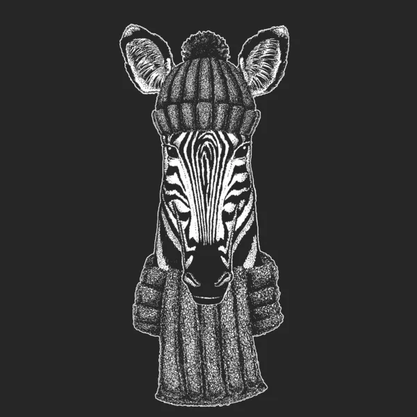 Zebraportret. Kop van wilde dieren. — Stockvector