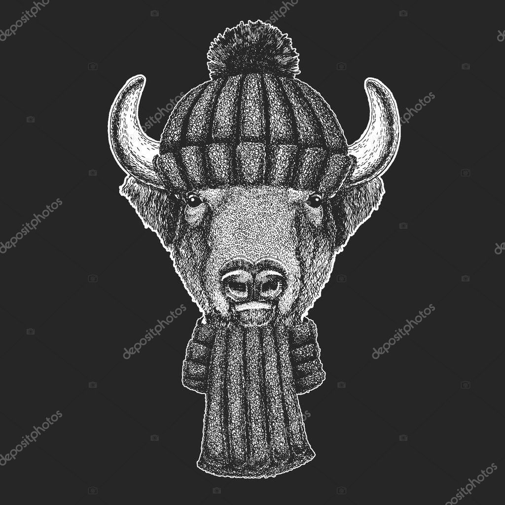 Animal portrait with winter knitted hat. Christmas headdress.