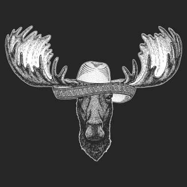 Geyik kafası. Sombrero geleneksel Meksika şapkası. Meksika mı? Komik bir hayvanın portresi.