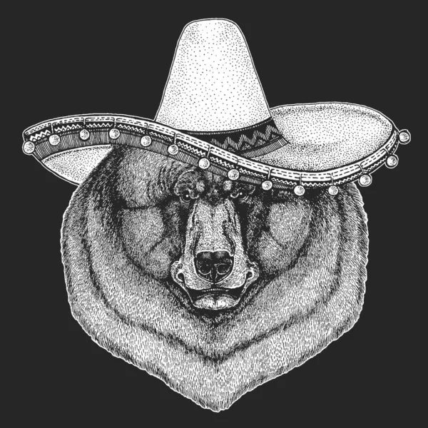 Orso selvatico. Sombrero è un tradizionale cappello messicano. Mexico.Ritratto di animale per emblema, logo, maglietta . — Vettoriale Stock