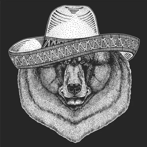Άγριο αρκουδάκι. Το σομπρέρο είναι παραδοσιακό μεξικάνικο καπέλο. Πορτρέτο του ζώου για έμβλημα, λογότυπο, μπλουζάκι. — Διανυσματικό Αρχείο