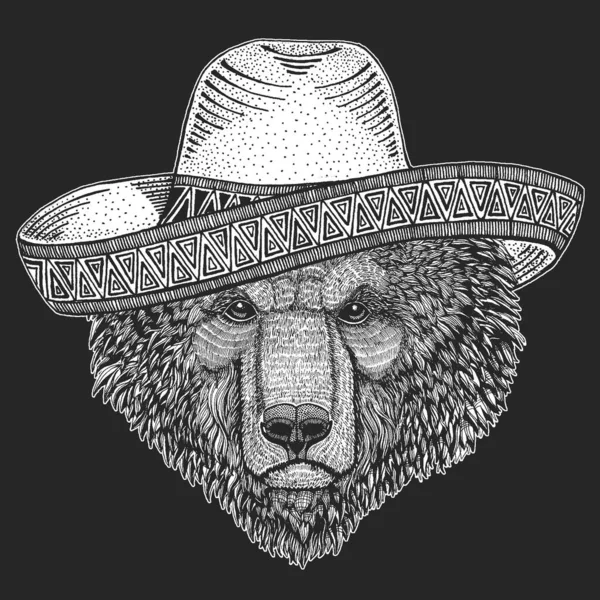 Oso salvaje. Sombrero es un sombrero tradicional mexicano. México. Retrato de animal para emblema, logotipo, camiseta . — Archivo Imágenes Vectoriales