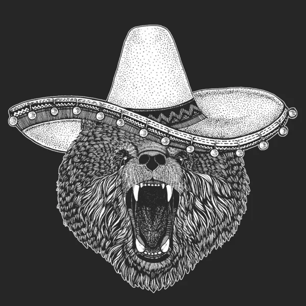 Urso selvagem. Sombrero é o tradicional chapéu mexicano. No México. Retrato de animal para emblema, logotipo, camiseta . —  Vetores de Stock