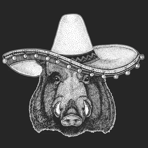 Porträt von Wildschwein, Wildschwein, Schwein. Sombrero ist ein traditioneller mexikanischer Hut. Mexiko. Das Gesicht des tapferen Tieres. — Stockvektor