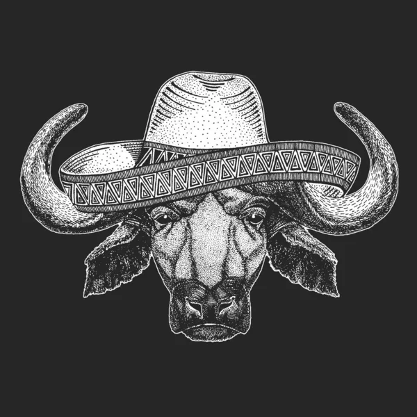 Retrato de búfalo, bisonte, touro, vaca. Sombrero é o tradicional chapéu mexicano. No México. Cara de animal . — Vetor de Stock