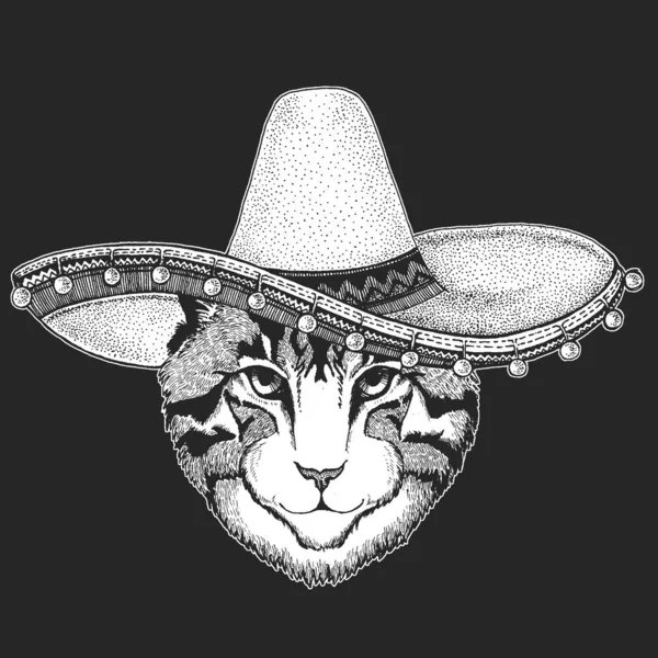 Evcil kedinin yüzü. Sombrero geleneksel Meksika şapkası. Meksika mı? Hayvan portresi. Şirin kedicik, kedicik. — Stok Vektör