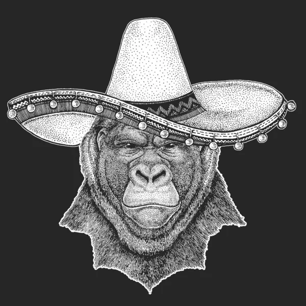 Gorilla, aap, aap. Sombrero is een traditionele Mexicaanse hoed. Mexico. — Stockvector