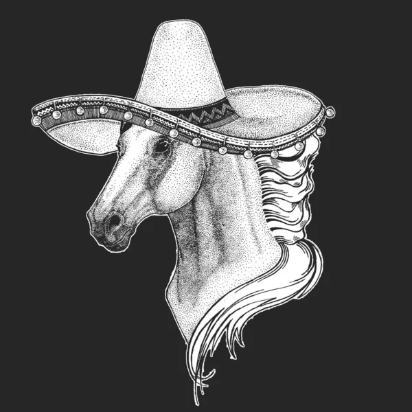 馬、馬、馬、コース。ソンブレロはメキシコの伝統的な帽子です。メキシコだ。野生動物の肖像. — ストックベクタ