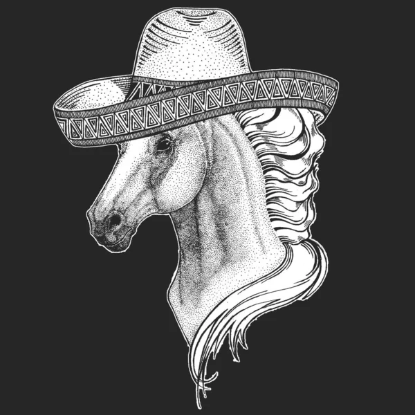 Caballo, caballo, corcel. Sombrero es un sombrero tradicional mexicano. México. Retrato de animal salvaje . — Archivo Imágenes Vectoriales