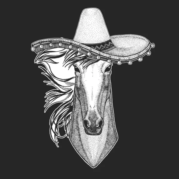 Cavallo, destriero, corsaro. Sombrero è un tradizionale cappello messicano. Messico. Ritratto di animale selvatico . — Vettoriale Stock