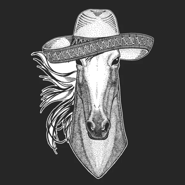 Cheval, cheval, coursier. Sombrero est un chapeau mexicain traditionnel. Au Mexique. Portrait d'animal sauvage . — Image vectorielle