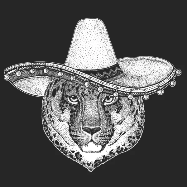 Leopar, jaguar surat. Sombrero geleneksel Meksika şapkası. Meksika mı? Vahşi hayvan portresi. — Stok Vektör