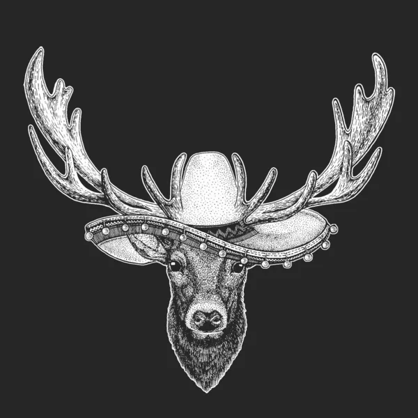 Deer portrait. Sombrero is traditional mexican hat. Mexico. Head of wild animal. — Stock Vector