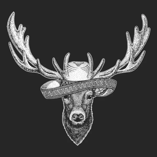 Portrait de cerf. Sombrero est un chapeau mexicain traditionnel. Au Mexique. Tête d'animal sauvage . — Image vectorielle