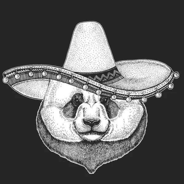 자이언트 판다, 대나무 곰 초상화. 솜브레로는 전통적 인 멕시코 모자이다. 멕시코. 귀여운 동물의 얼굴. 곰의 머리. — 스톡 벡터