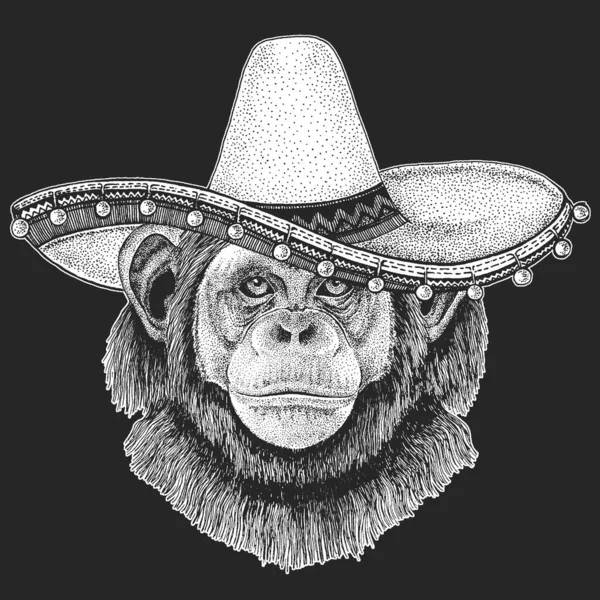 Chimpanzee, portrait. Sombrero is traditional mexican hat. Mexico. Monkey face. Ape head. — Stock Vector