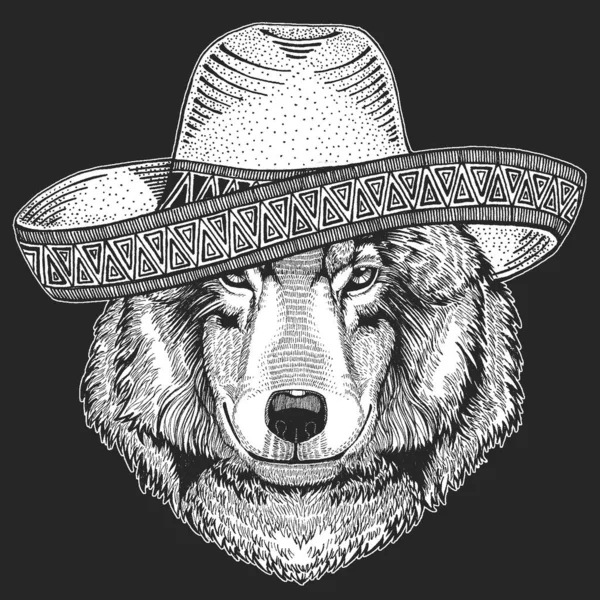 Retrato de lobo. Sombrero é o tradicional chapéu mexicano. No México. Cabeça de animal selvagem . —  Vetores de Stock