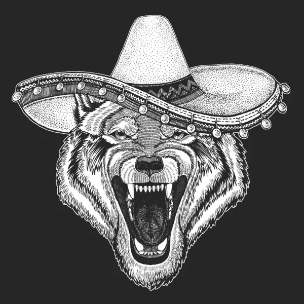 Portrait de loup. Sombrero est un chapeau mexicain traditionnel. Au Mexique. Tête d'animal sauvage . — Image vectorielle