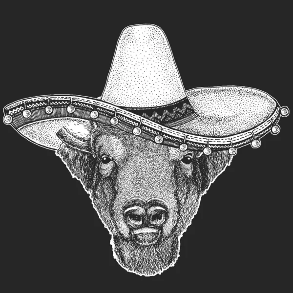 Buffalo, bisonte, testa di toro. Sombrero è un tradizionale cappello messicano. Messico. Ritratto di animali . — Vettoriale Stock
