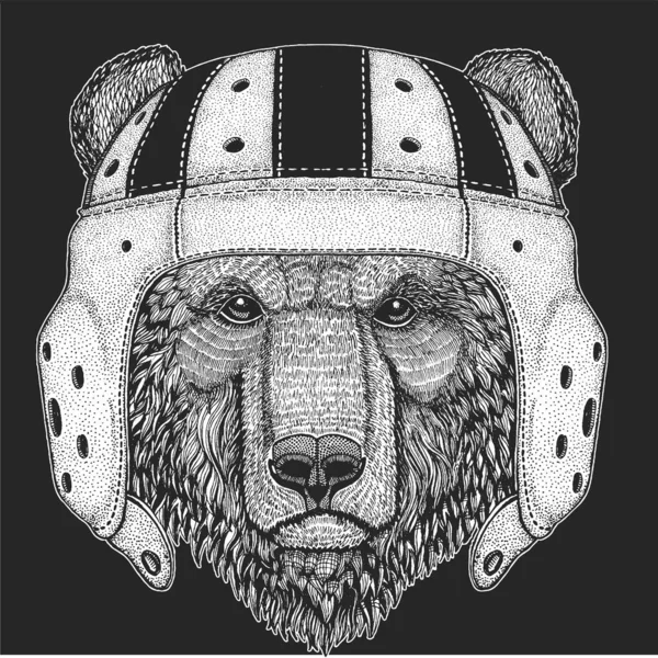Дикий медведь. Кожаный шлем регби. Портрет животного для эмблемы, логотипа, футболки . — стоковый вектор