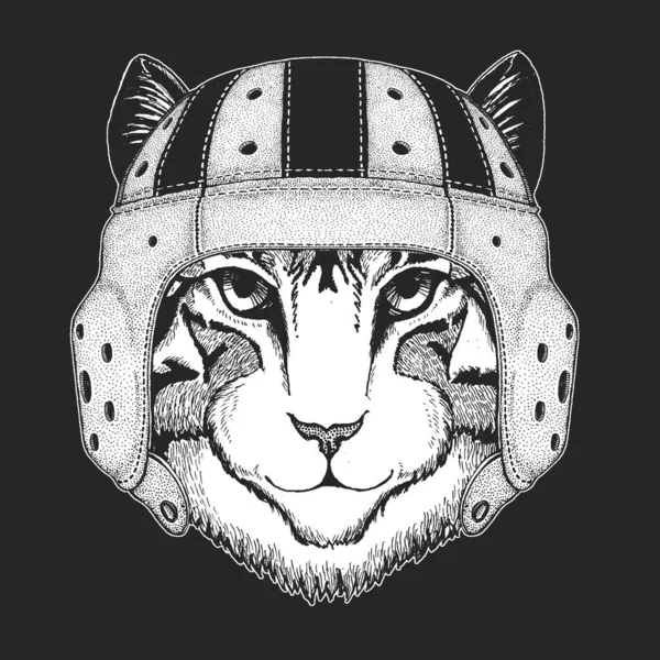 Visage de chat domestique. Portrait d'animal. Casque de rugby en cuir. Chaton mignon, chaton . — Image vectorielle