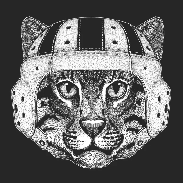 Visage de chat domestique. Portrait d'animal. Casque de rugby en cuir. Chaton mignon, chaton . — Image vectorielle