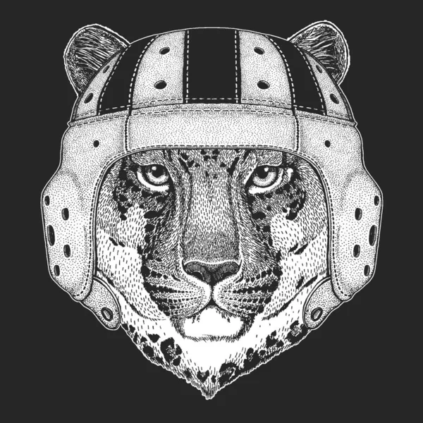 Leopardo, cara de jaguar. Casco de cuero rugby. Retrato de animal salvaje . — Vector de stock