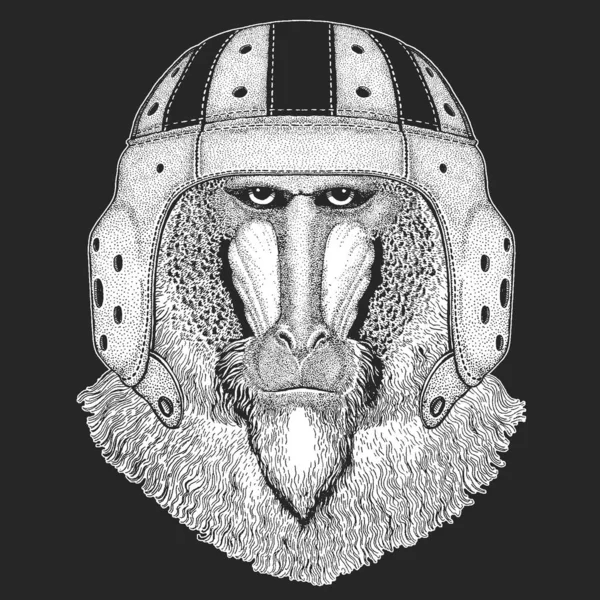 Baboon, monkey, ape. Rugby leather helmet. Head, portrait of animal. — Stock Vector